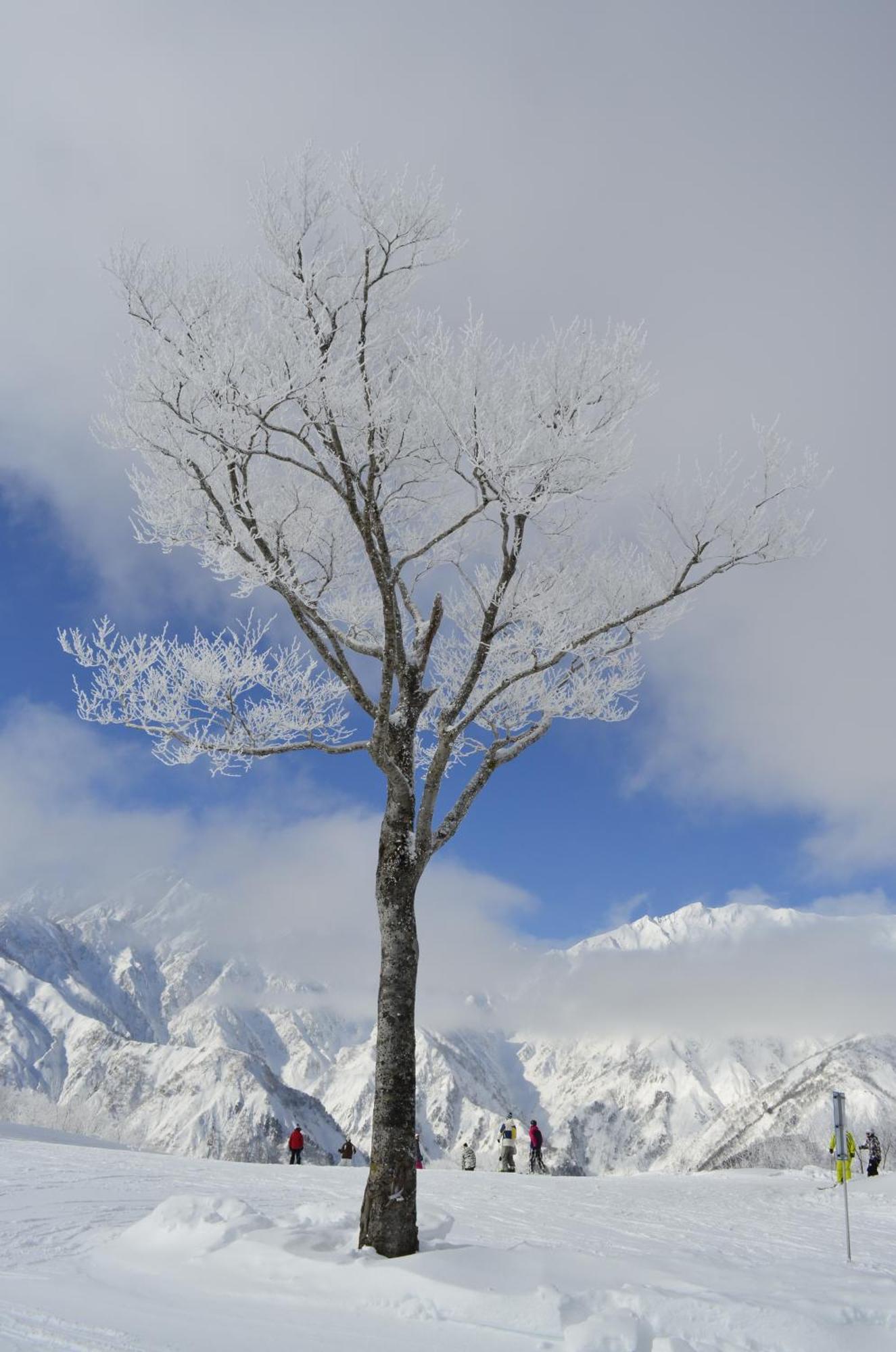 B&B Santana Hakuba Dış mekan fotoğraf