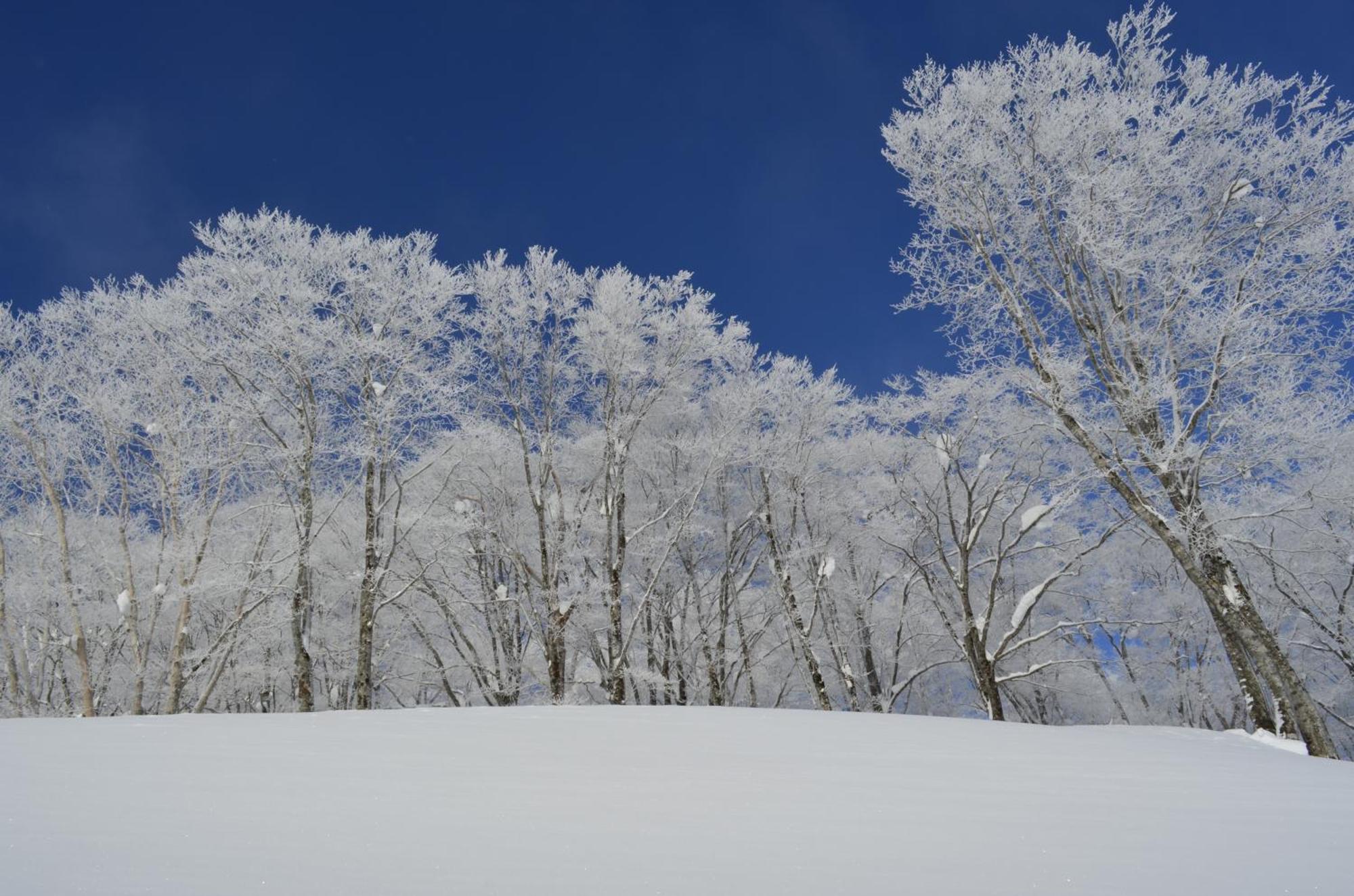 B&B Santana Hakuba Dış mekan fotoğraf